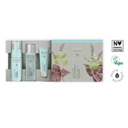 Nemlendirici Cilt Bakım Çözümü Mini Seyahat Seti Artistry Skin